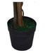 90cm Dark Green Ficus Artificial Tree - Green4Life