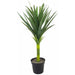 90cm Green Yukka Plant Spiky Tree Artificial Plant - Large - Green4Life