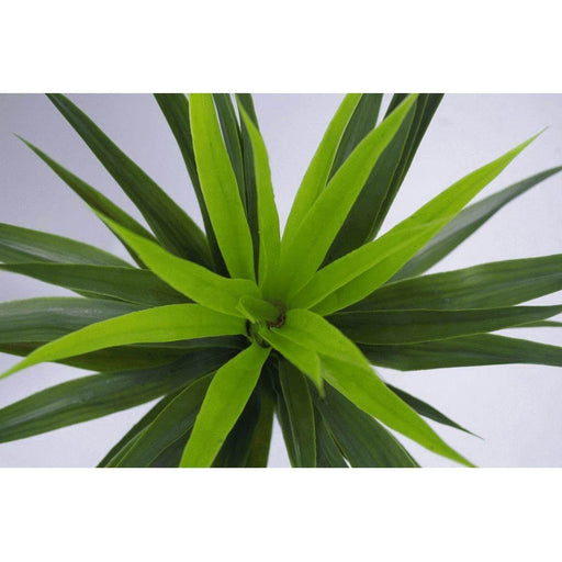 90cm Yukka Plant Spiky Tree Artificial Plant - Large - Green4Life