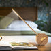 Bamboo Wood Octagon One Plus Portable Alarm Clock Desk Light - Green4Life
