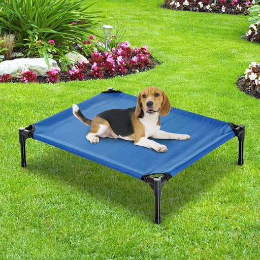 Medium Pet Cot - Blue - Green4Life