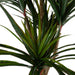 120cm UV Resistant Yucca Tree - Green4Life