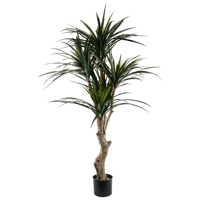 120cm UV Resistant Yucca Tree - Green4Life