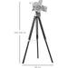 Cinematic Nautical Tripod Spotlight - Green4Life