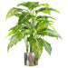 100cm Large Fox’s Aglaonema (Spotted Evergreen) Tree Artificial Plant with Silver Metal Planter - Green4Life