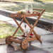 Delos Outdoor Drinks Trolley - Green4Life