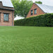 Holly 30mm Artificial Grass - 10 Years Warranty - Green4Life