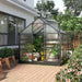 Outsunny 6 x 6 ft Walk-In Polycarbonate Greenhouse with Sliding Door, Galvanised Base & Aluminium Frame - Grey - Green4Life