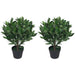 Pair of 50cm Dwarf Artificial Bay Trees Laurel Topiary Bushes - Green4Life