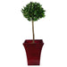 Pair of 90cm (3ft) Plain Stem Artificial Topiary Bay Laurel Ball Trees - Green4Life