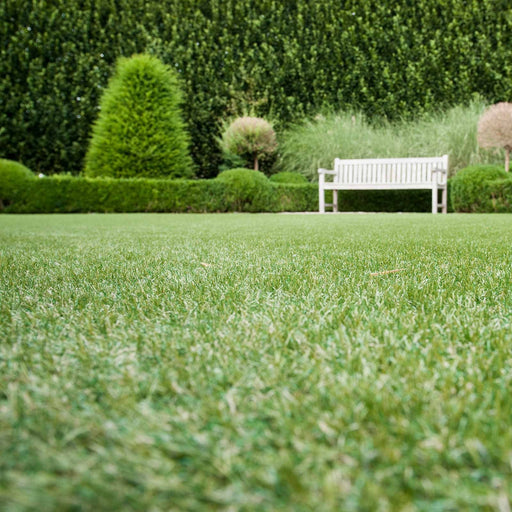 Selena 27mm Artificial Grass - 10 Years Warranty - Green4Life