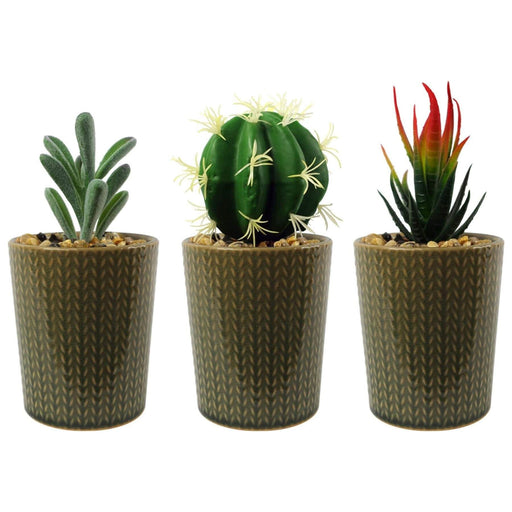 Set of Three 17cm Ceramic Stone Stripe Planter with Artificial Cactus Dracaena & Succulents - Green4Life