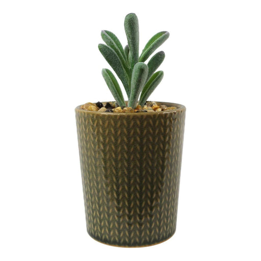 Set of Three 17cm Ceramic Stone Stripe Planter with Artificial Cactus Dracaena & Succulents - Green4Life