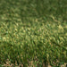 Victoria 27mm Artificial Grass - 10 Years Warranty - Green4Life