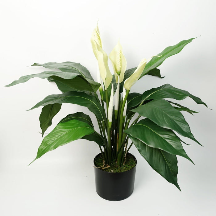 White Peace Lily Artificial Plant - Green4Life