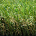 Willow 37mm Artificial Grass - 10 Years Warranty - Green4Life