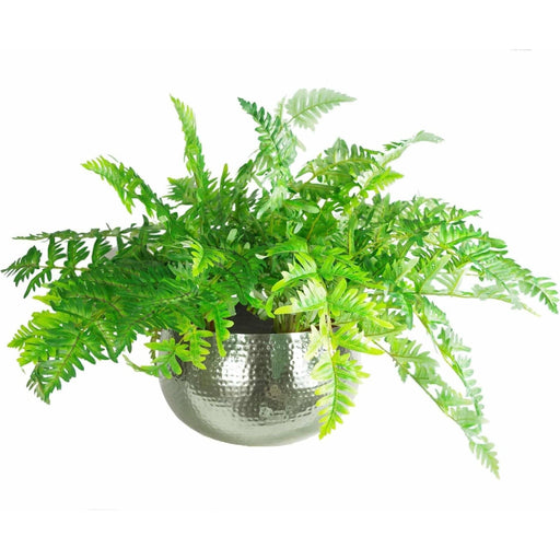 XL Metal Bowl Planter 32 x 20cm Hammered Finish Silver Colour – Straight Edge - Green4Life