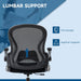 Vinsetto Adjustable Office Chair with Flip-up Armrests & Adjustable Footrest - Black - Green4Life