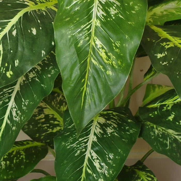 100cm Large Fox's Aglaonema (Spotted Evergreen) Tree Artificial Plant with Silver Metal Planter - Green4Life