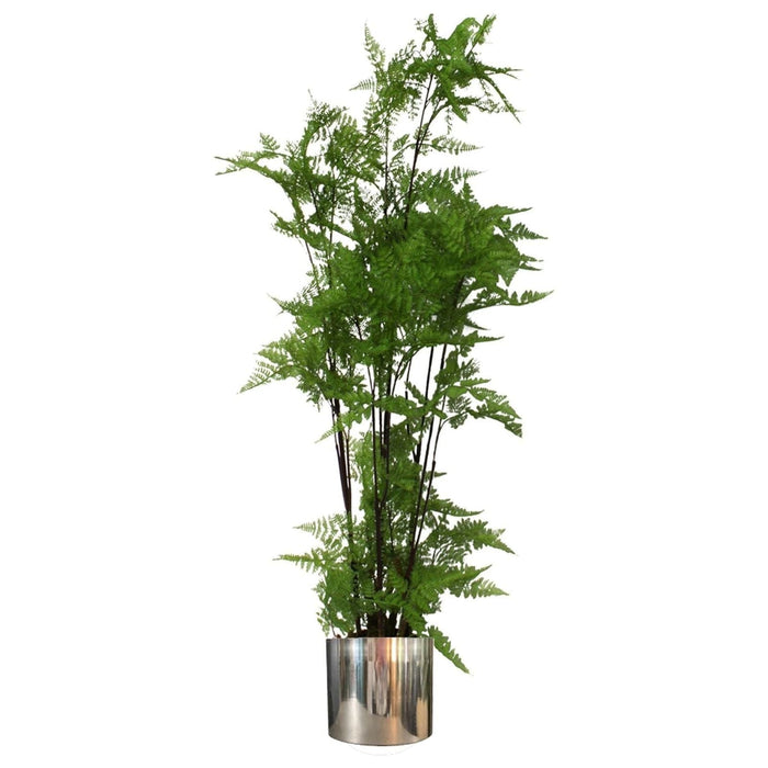 150cm Artificial Natural Moss Base Fern Foliage Plant with Silver Metal Plater - Green4Life