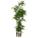 150cm Artificial Natural Moss Base Fern Foliage Plant with Silver Metal Plater - Green4Life