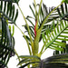 150cm Artificial Palm Tree - Green4Life