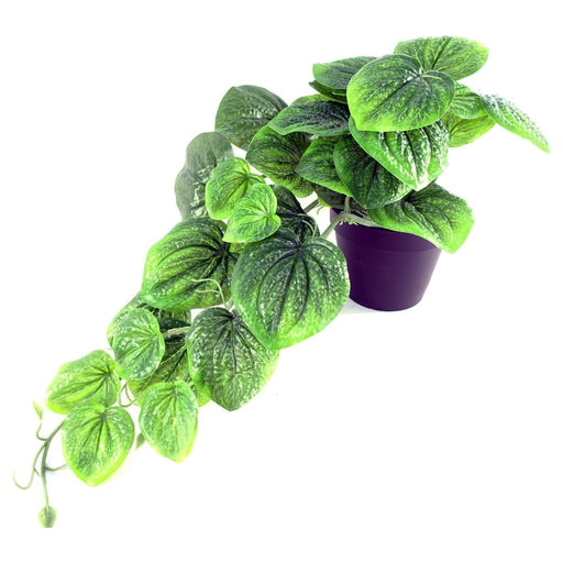 35cm Artificial Trailing Green Potted Pothos Plant - Green4Life